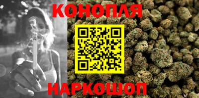 гашик Донецк