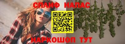 гашик Донецк