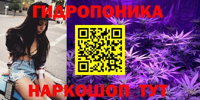 гашик Донецк