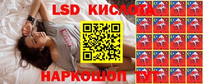 гашик Донецк