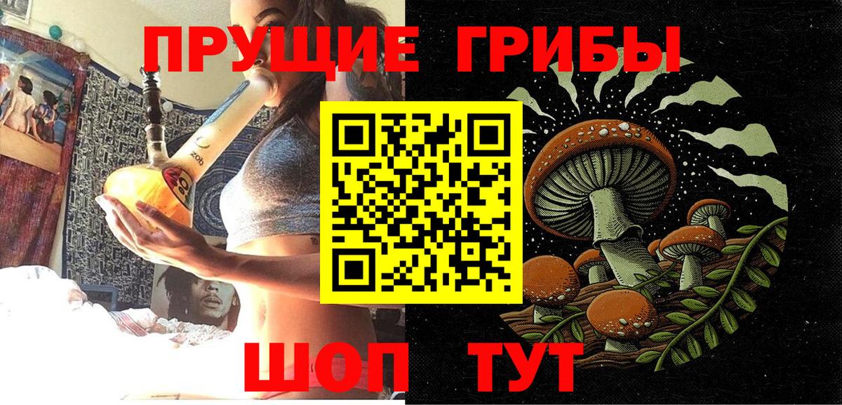 Галлюциногенные грибы Magic Shrooms Ногинск