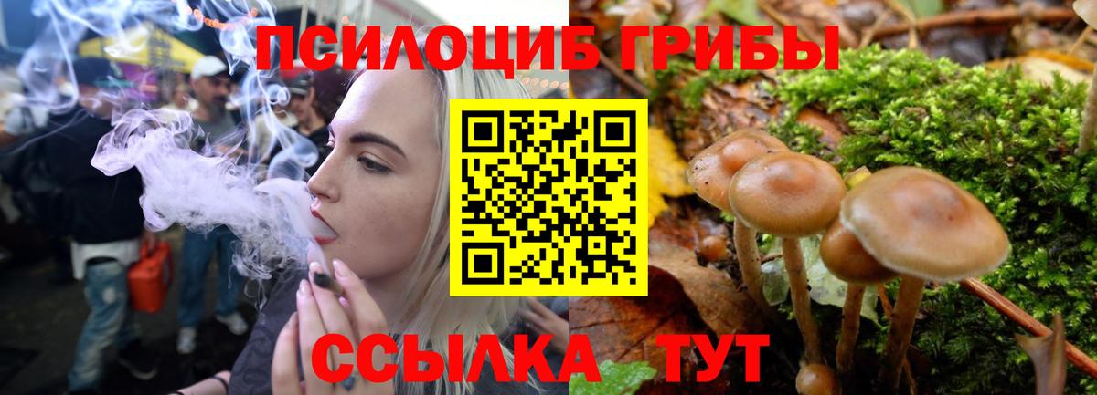 Ногинск  Галлюциногенные грибы MAGIC MUSHROOMS  Вход с VPN  Псилоцибиновые грибы Psilocybe 